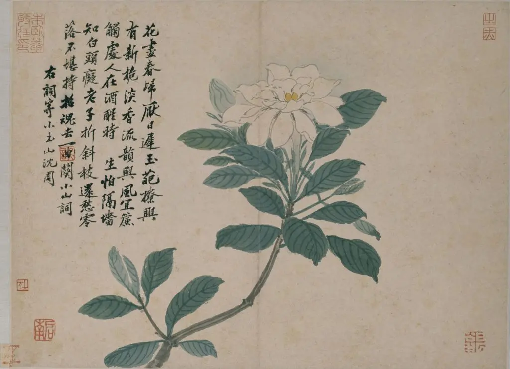 沈周卧游图册 | 故宫绘画藏品