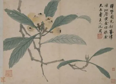 沈周卧游图册 | 故宫绘画藏品