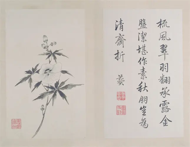 弘历《秋英六种》册 | 故宫绘画藏品