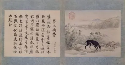 艾启蒙十骏犬图册 | 故宫绘画藏品