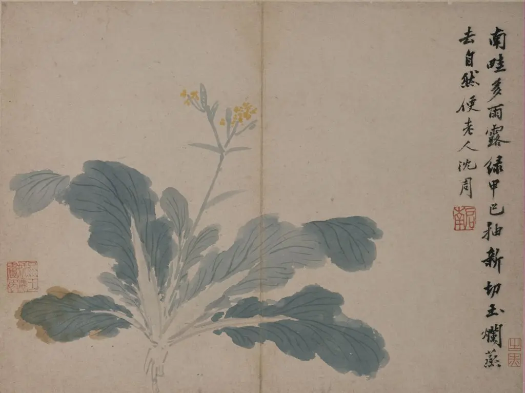 沈周卧游图册 | 故宫绘画藏品