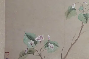 文俶花卉图册 - 故宫绘画藏品