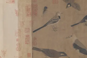 黄筌写生珍禽图卷 - 故宫绘画藏品