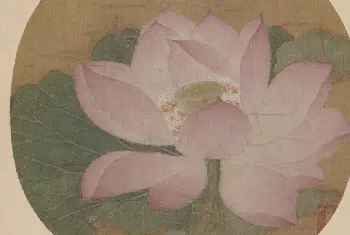 出水芙蓉图页 - 故宫绘画藏品