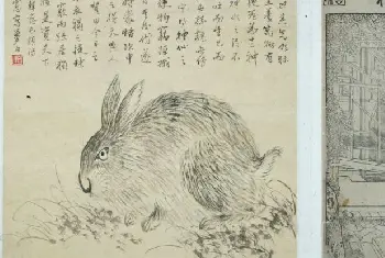 木刻纺织图册 - 故宫绘画藏品